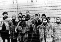 Holocausto1.jpg